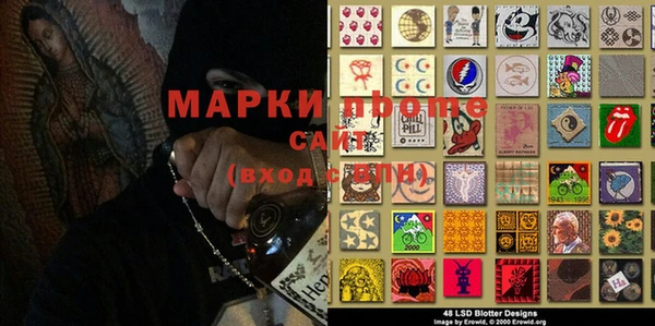 сатива Абаза