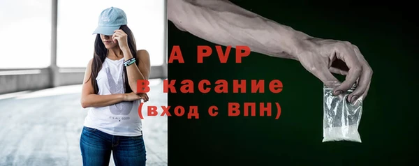 сатива Абаза