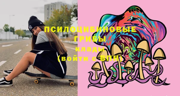 сатива Абаза