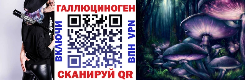 Псилоцибиновые грибы Psilocybe  Электроугли 